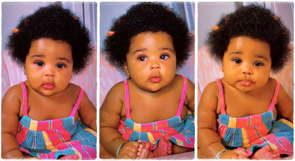 Photos of a beautiful little girl with plenty of hair.