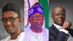 Full list of President Tinubu's newly appointed special advisers