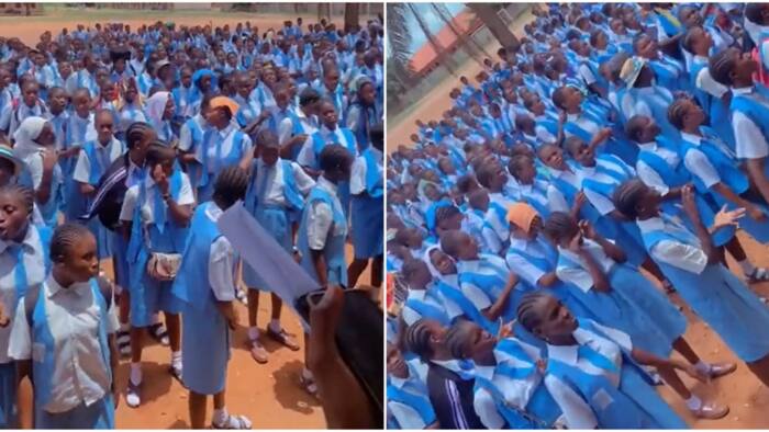 "Leaders of tomorrow": Secondary school girls dance to Ayra Starr's Song on assembly ground, video goes viral