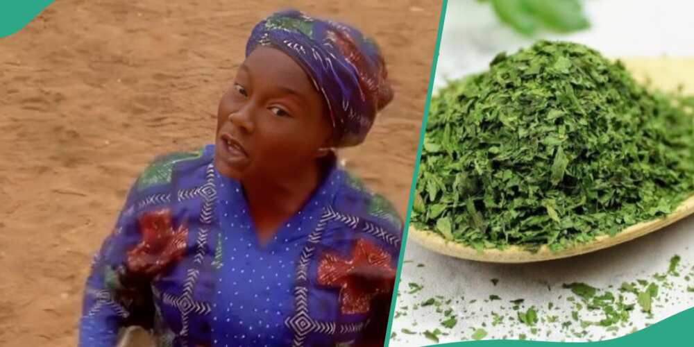 Nigerian lady who sells herb speaks impeccable English