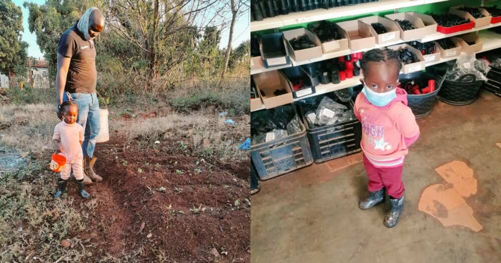 Mzansi gushes as smart dad teaches little girl to plant veggie garden