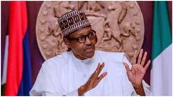 The development drains Africa’s talent pool: Buhari laments mass youth migration to Europe