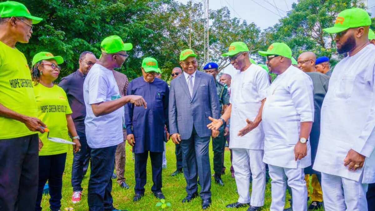 REVEALED: Why 10,000 trees will be planted across Imo state