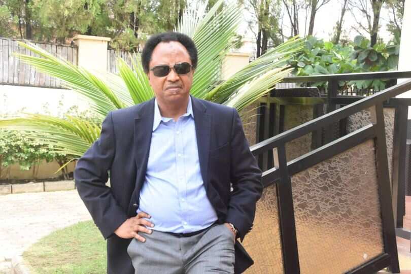 Senator Shehu Sani