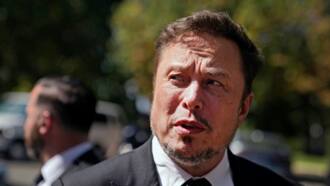 Musk slams German-funded migrants rescue Med operations
