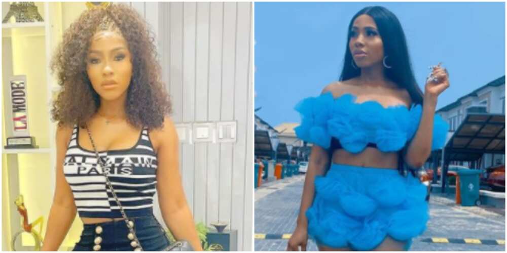 BBNaija's Mercy marvels at the abundance of quotes online, says there is one to justify every stupidity
