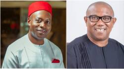 2023: Huge blow as powerful southeast governor dumps Peter Obi, reveals preferred presidential candidate