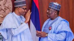 2023: APC senators divided over alleged plot to pick Lawan as consensus candidate