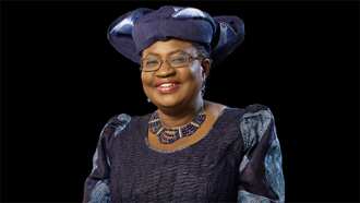 List: 7 facts about Okonjo-Iweala's historic job at WTO