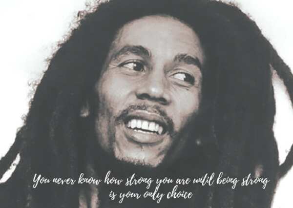 bob marley life quotes