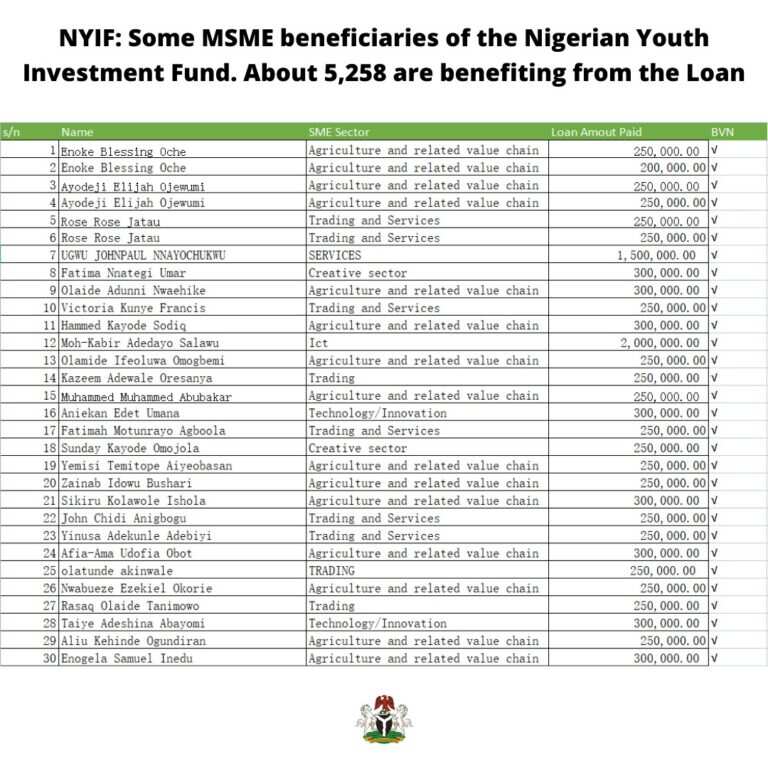 NYIF: 500 MSMEs Beneficiaries of the Nigeria Youth Investment Fund Revealed