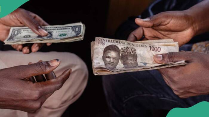 Naira reverses gains, crashes against US dollar in official market again