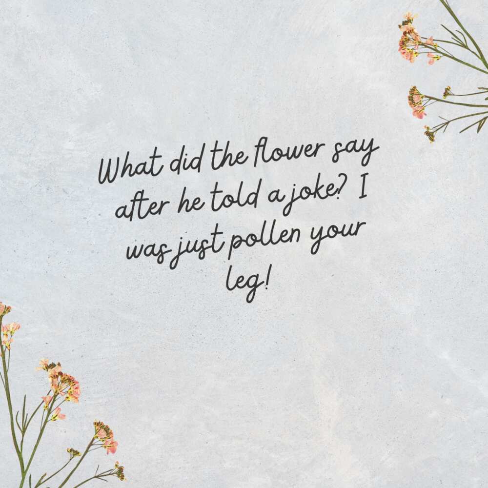 Flower puns for Instagram
