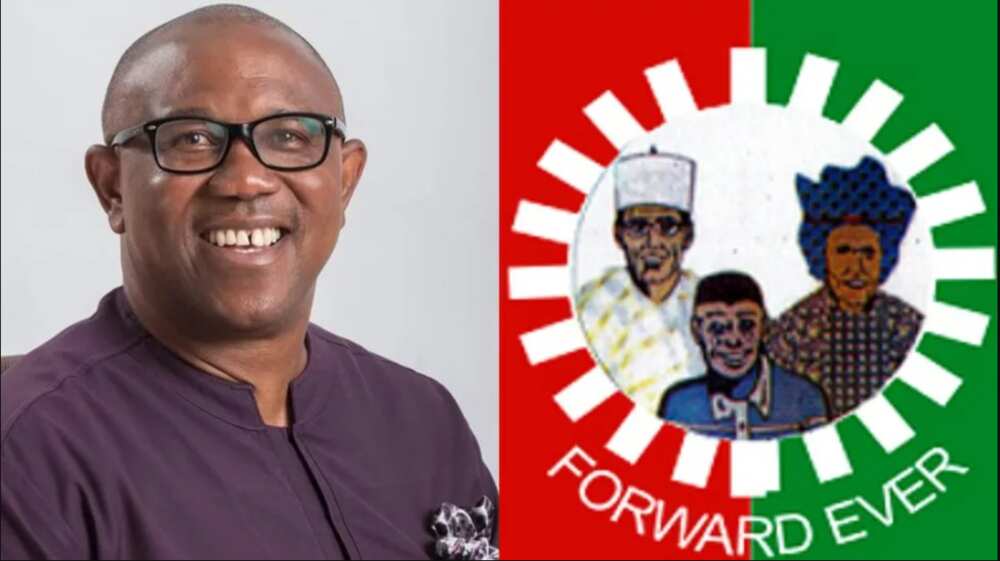 Peter Obi, Labour Party