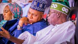 Election petition: 3 reasons why tribunal struck out APM's petition for Tinubu, Shettima’s disqualification