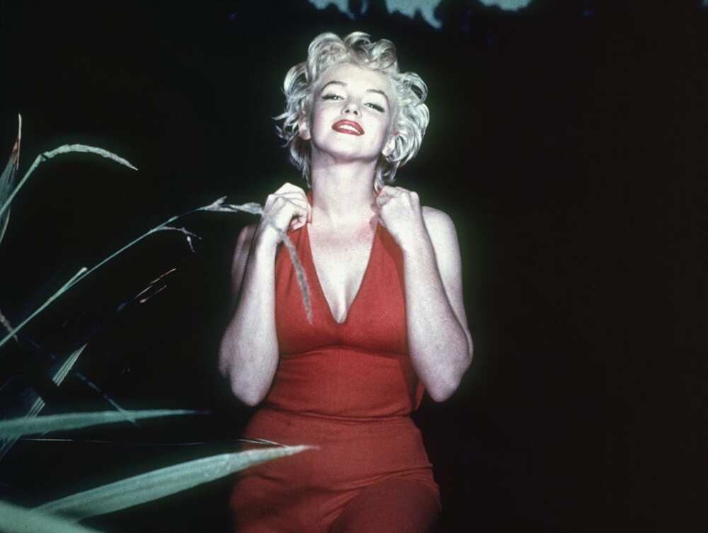 Marilyn Monroe, destin d'exception et mort tragique : sa biographie