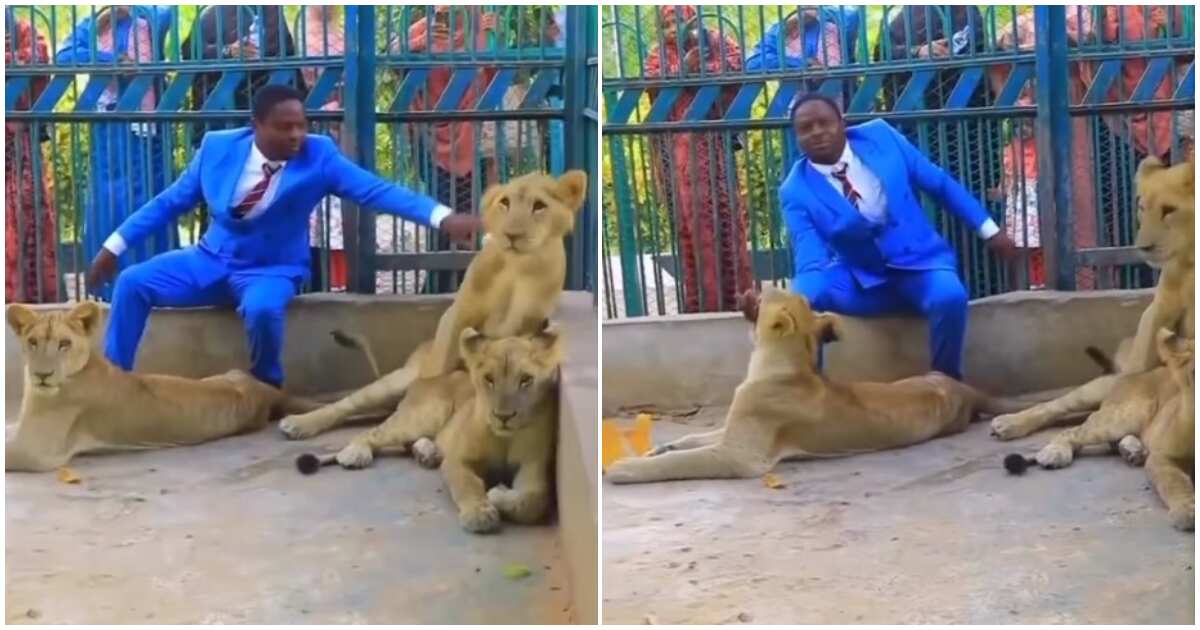 Pastor invites church members to watch him in lions' den then this happened