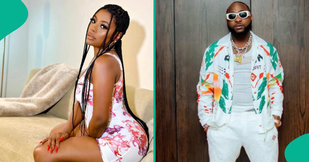 Chivido 2024: Find out more as Sophia Momodu reveals when she stopped sleeping with Davido amid custody battle