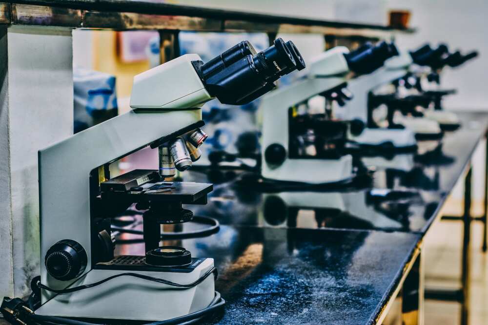 Science Laboratory Technology Science Laboratory Technology