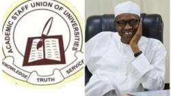 Yajin Aiki: Duk Da Shugaba Buhari Ya Sako Kudi, ASUU Tace Akwai Sauran Rina a Kaba