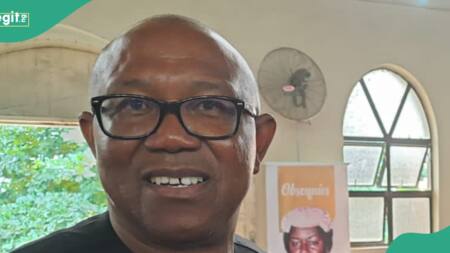 ANALYSIS: 3 steps Peter Obi can take if he loses at Supreme Court