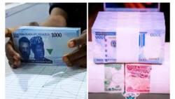 Ex-CBN deputy governor Kingsley Moghalu points out two problems with naira design policy