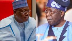 2023: Major setback for APC as Senate President fails to deliver polling unit to Tinubu, winner revealed