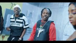 Cath the latest collaboration between Q2 x Zlatan x Naira Marley - Come Online