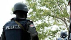 Police arrest teenage boy, 3 others for allegedly beating man to death in PDP-controlled state
