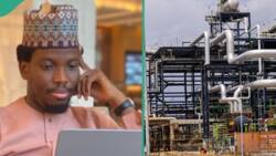 Dangote Refinery crashes diesel price: Nigerian man trolls people who bet against Dangote's company