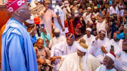 2023: Full list of Tinubu's strong men who will deliver presidency to him emerges
