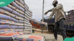 SON sends message to Dangote, BUA, other manufacturers as cement sells for new price
