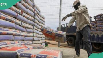 SON sends message to Dangote, BUA, other manufacturers as cement sells for new price
