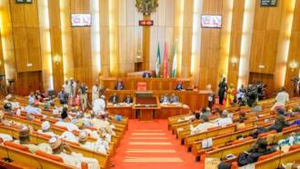 Electoral Bill: CSOs reject Senate’s introduction of consensus mode for nomination of candidates