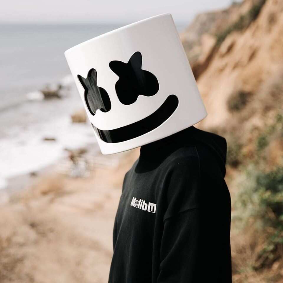 The Most Famous Face Reveals, Marshmello Face Reveal