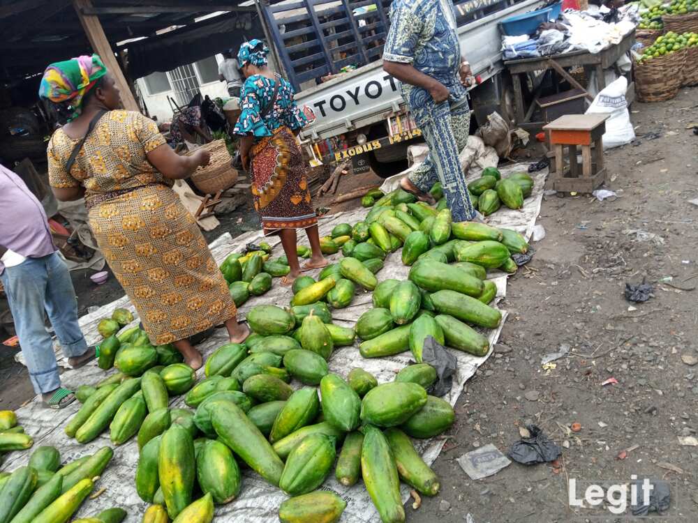 Pawpaw sellers at Jakande market, Ikosi-Ketu, Lagos. Photo credit: Esther Odili