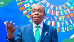 'Not Sabiu Yusuf', Emefiele reveals who approved Naira redesign policy