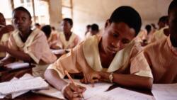 NECO entrance exam: Kebbi state records lowest applicants as 15 candidates score 01