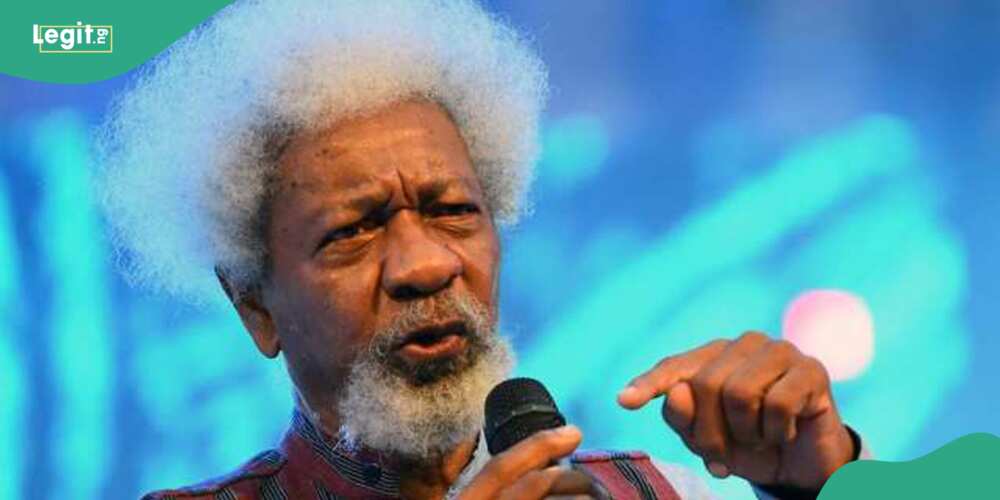 Wole Soyinka, federal government