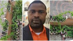 Nigerian man who grows crops above ground showcases his farming style produce, says one doesn't need a farm
