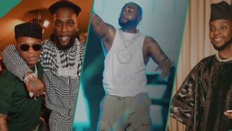Burna Boy and Davido, Wizkid ft Kizz Daniel and other unusual collabos between Nigerian artists