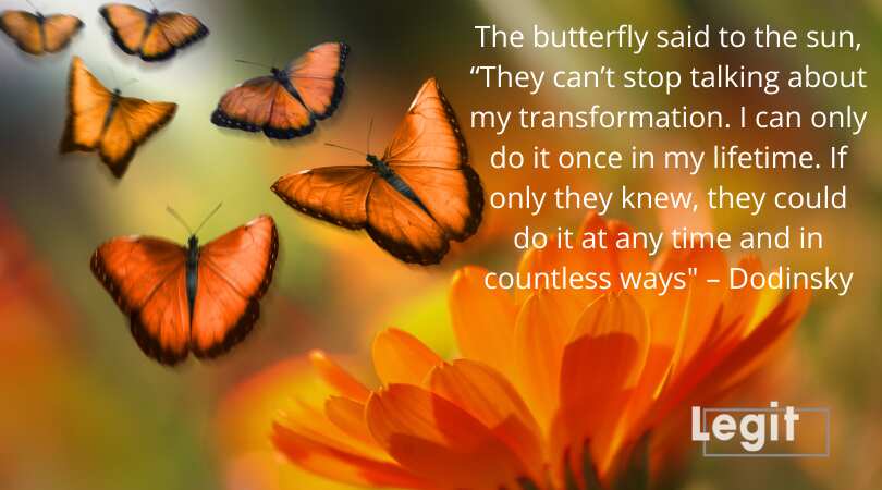 A collection of great butterfly quotes, sayings and poems