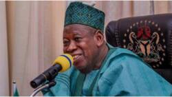 Kano Guber 2023: Ganduje speaks as vote counting continues, reveals APC's fate