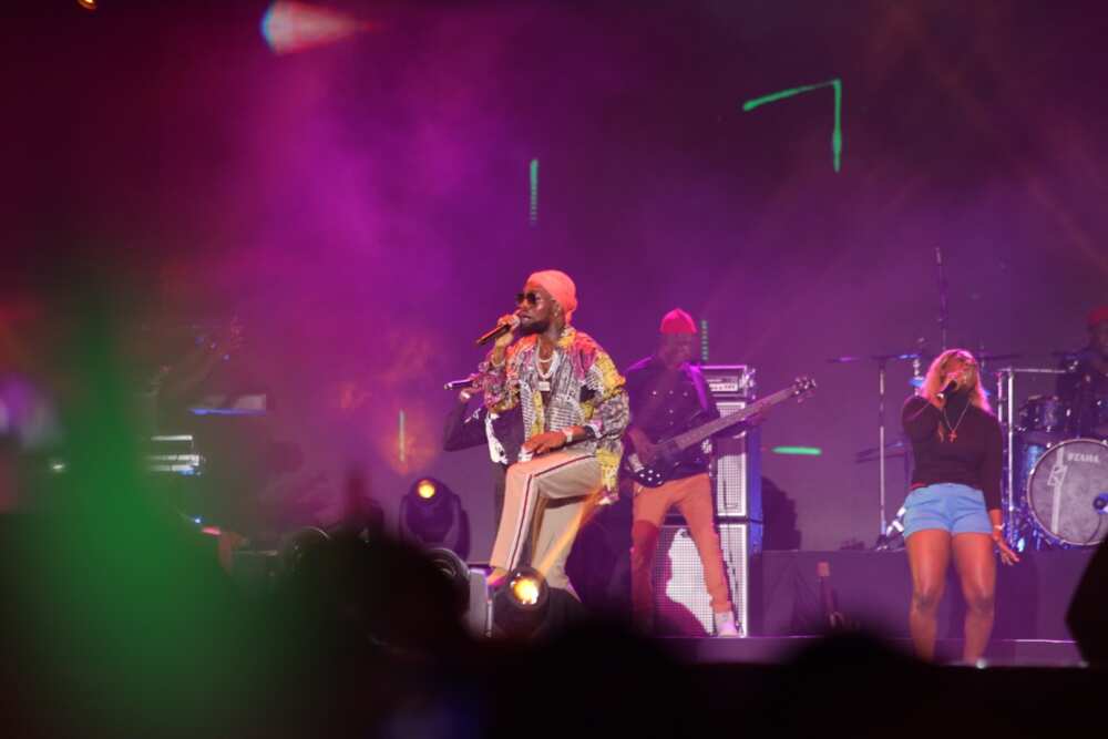 Burna Boy, Flavour, others: BAFEST celebrates the best Africa has to offer