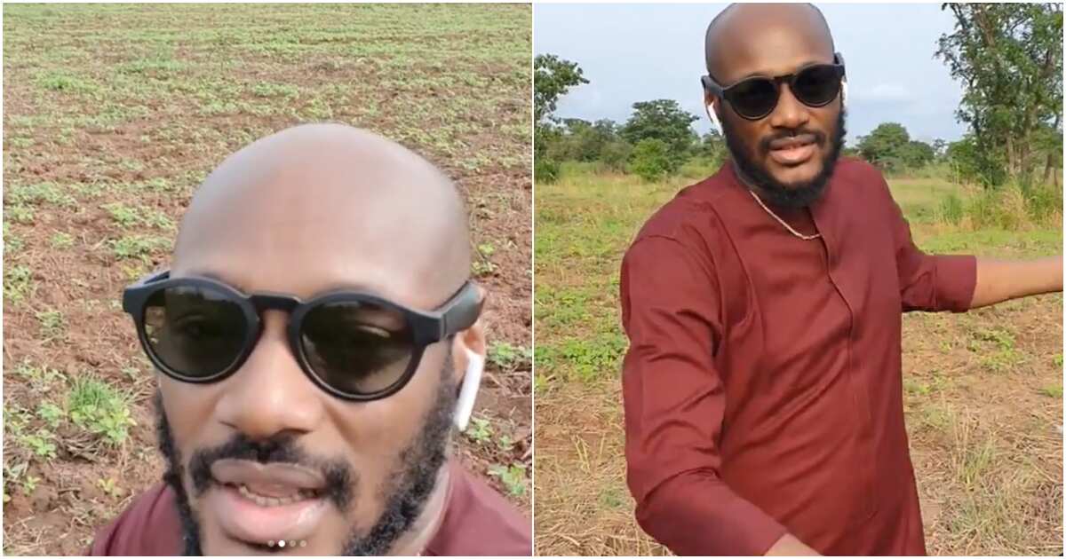 2baba becomes farmer, shows off his huge soya beans farmland in Benue state (videos)
