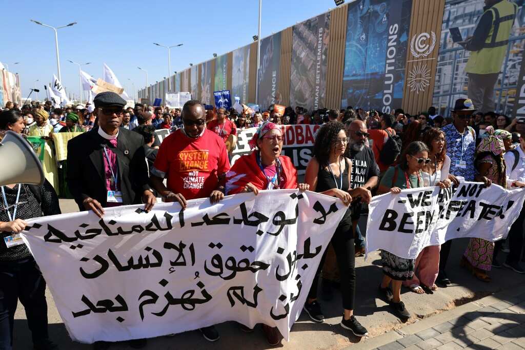 At COP27, hundreds march behind hunger striker's sister