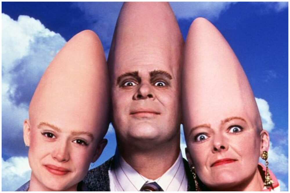 33 characters with big foreheads from anime, cartoons and films Legit.ng