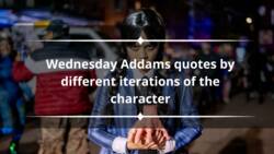 33 Wednesday Addams quotes by different iterations of the character
