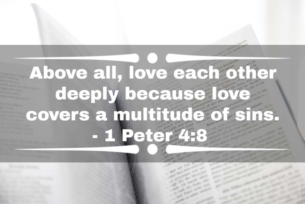 love toast for wedding cards from the bible love toast for wedding cards from the bible