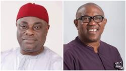 APGA chairman reveals the vow Peter Obi made to party years before joining PDP
